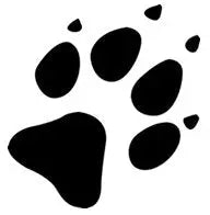 Donation - Wolfness Athletics